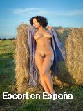 Escorts en Namiquipa